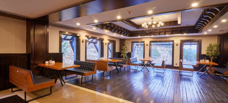 戴德曼滑雪旅馆(Dedeman Palandoken Ski Lodge Hotel)图片