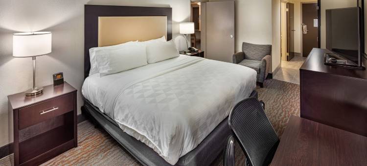 Holiday Inn 亚特兰大诺斯莱克(Holiday Inn Atlanta-Northlake)图片