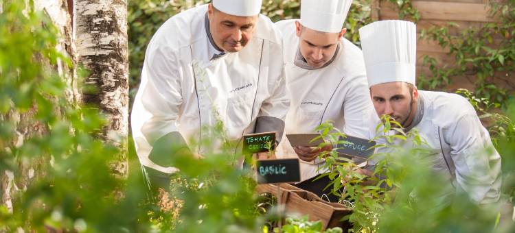 巴黎拉德芳斯广场诺富特酒店(Novotel Paris la Défense Esplanade)图片