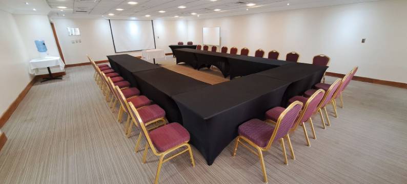 圣地亚哥德阿尔马格罗瓦尔帕莱索酒店(Hotel Diego de Almagro Valparaíso)图片