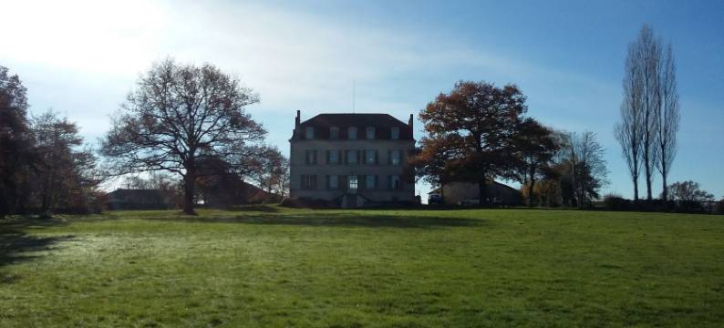 Savignac庄园(Domaine de Savignac)图片