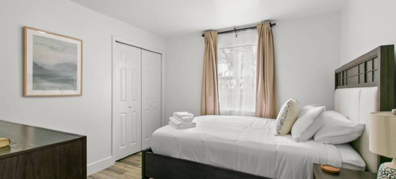 全新圣彼得堡度假屋，新装修，宠物友好(New St Pete Retreat - Newly Updated Pet Friendly)图片