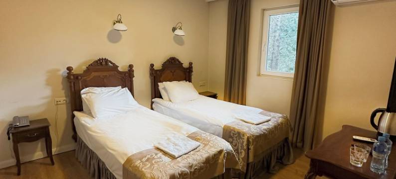 雷卡茨第比利斯酒店(Reikartz City Tbilisi Hotel)图片