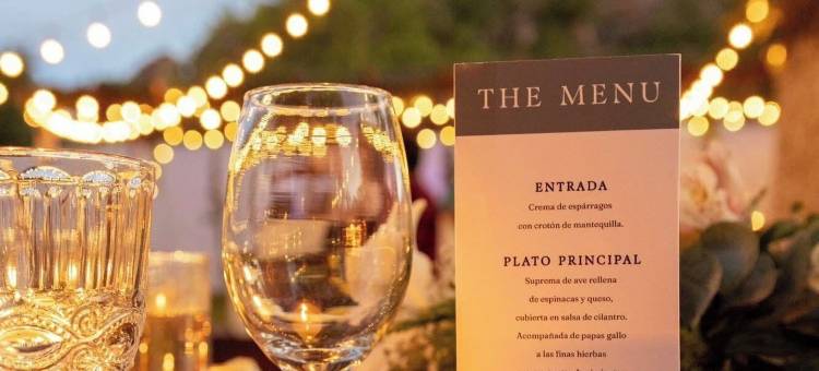 洛斯维涅多斯大酒店(Los Viñedos Gran Hotel)图片