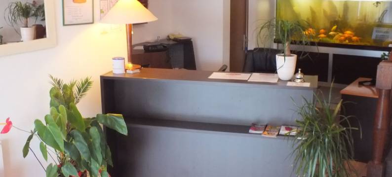 曼奎伊尔酒店(Hotel Restaurant le Manguier)图片