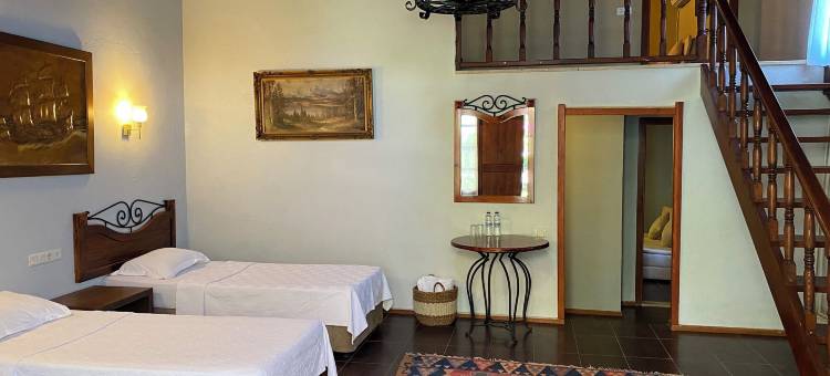 阿尔玛格兰蒂波扎亚达特殊类别酒店(Armagrandi Hotel Bozcaada-Special Category)图片