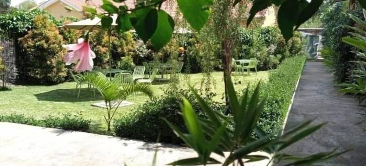 古卢非洲之根酒店(African Roots Gulu)图片