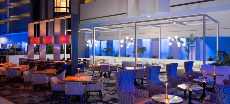 博卡－拉顿大使套房酒店(Embassy Suites by Hilton Boca Raton)图片