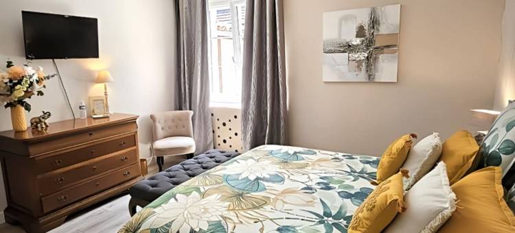 巴亚迪尼酒店(La Bayardine)图片