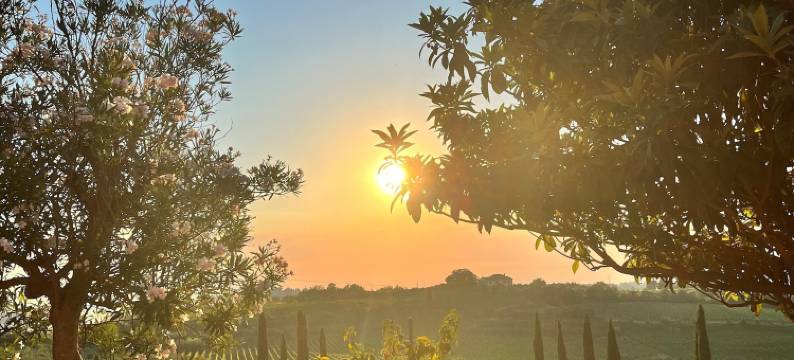 拉夸酒庄(Laqua Vineyard)图片