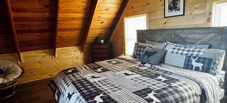 Cozy Wood Cabin w Amazing Direct Mountains Views, 5 Min from Downtown & NPark图片