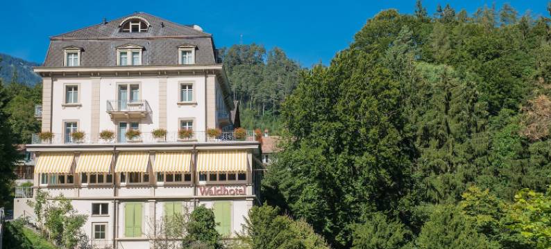 乌斯普嫩经济酒店(Budget Waldhotel Unspunnen)图片