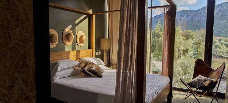 烹饪与自然情感酒店(Cooking and Nature - Emotional Hotel)图片