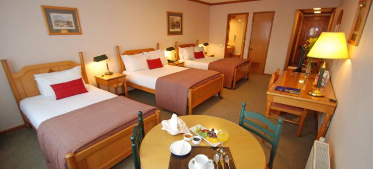 蒙特港阿巴总统套房公寓酒店(Abba Presidente Suites Puerto Montt)图片