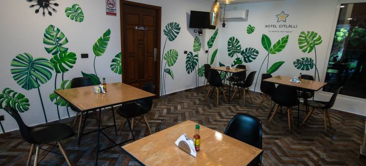 奇特拉里酒店(Hotel Citlalli)图片