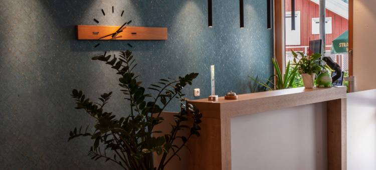 巴亚绪瓦尔德酒店(Hotel Bayerischer Wald)图片