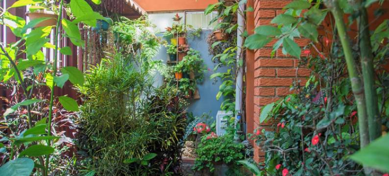 胡安·桑塔玛丽亚机场花园屋，阿拉胡埃拉，圣何塞(Gardens House, Airport Juan Santamaría, Alajuela, San José)图片