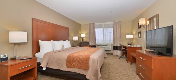 埃文斯维尔-卡斯帕尔舒适酒店(Comfort Inn Evansville-Casper)图片