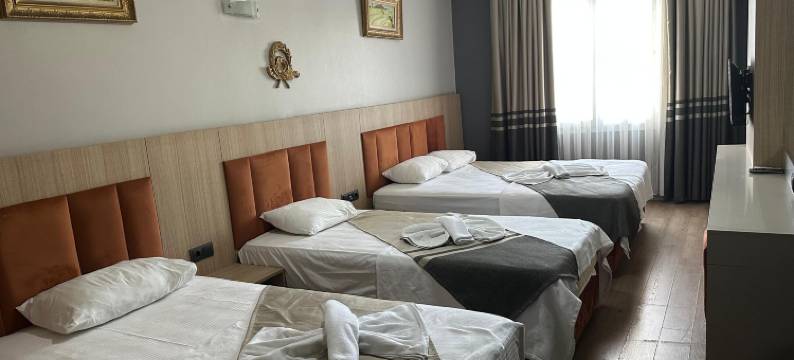 Metros酒店(Metros Hotel)图片