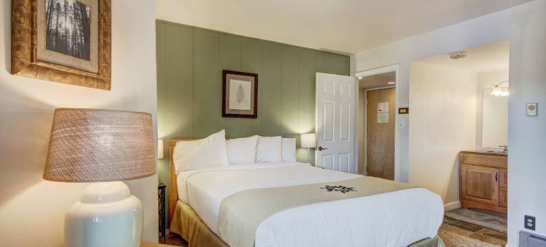 2卧室/2浴室公寓在班车路线 - 野爱尔兰人1015 - 游泳池和更多！(2Br/2BA Condo on Shuttle Route - Wild Irishman 1015 - Pool & More!)图片