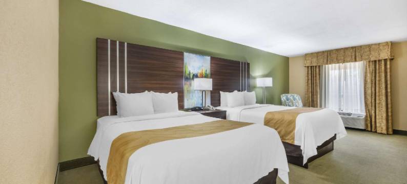 凯艺酒店(Quality Inn of Paris, TN)图片