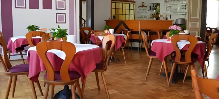 佐姆迦登斯蒂姆酒店(Hotel Zum Goldenen Stern)图片