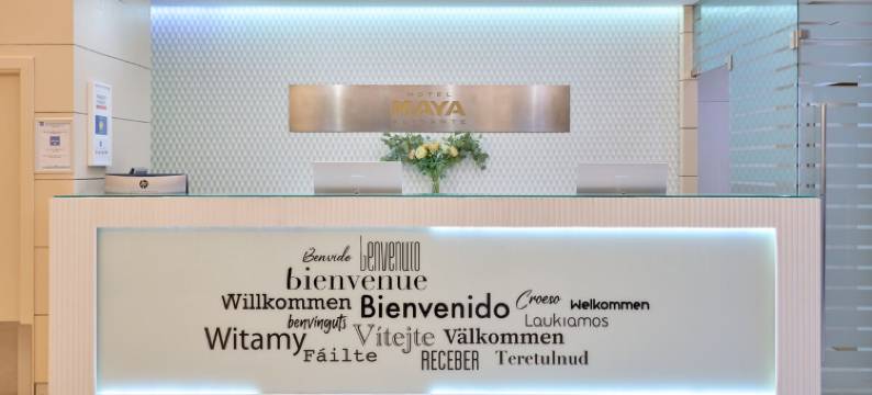 阿利坎特玛雅酒店(Hotel Maya Alicante)图片