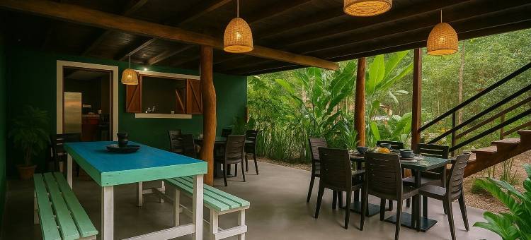 绿色丛林屋(Hotel Boutique the Green Jungle House)图片