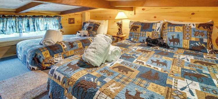 距离露尔湖7英里：米尔斯普林小屋带热水浴缸(7 Mi to Lake Lure Mill Spring Cabin with Hot Tub)图片