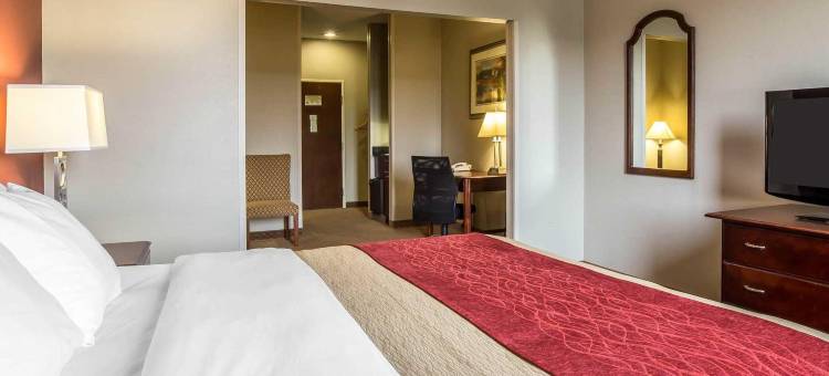 勒努瓦高速公路321号北山麓舒适套房酒店(Comfort Inn & Suites Lenoir Hwy 321 Northern Foothills)图片