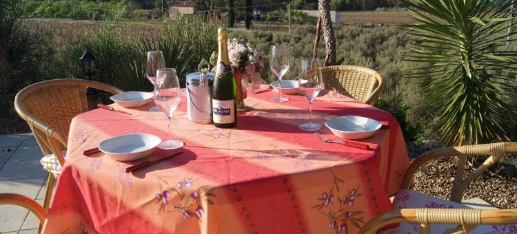 Villa in Provence with Pool and Vineyard Views图片