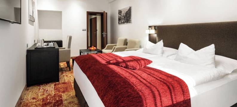 辛格酒店(Hotel Singer)图片