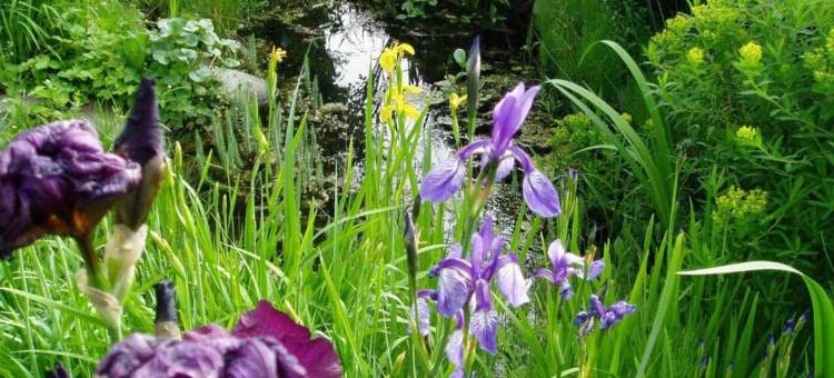 Modern Apartment, Bressanone图片