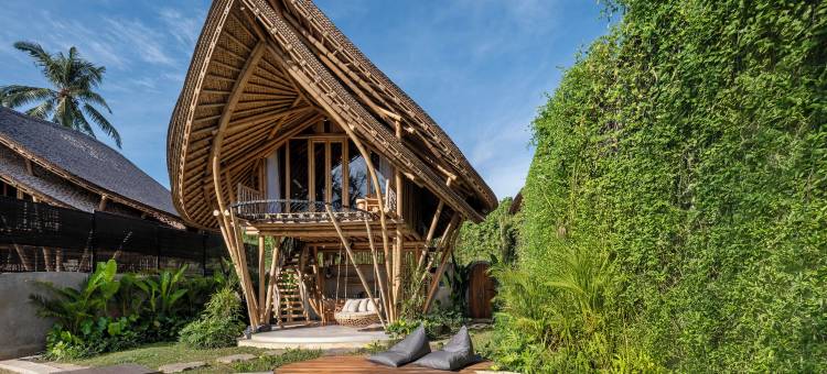 埃马纳竹景(Emana Bambooscape)图片