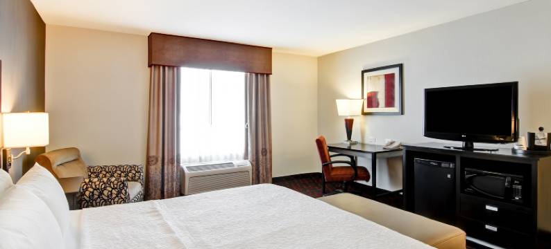 雷德迪尔希尔顿欢朋套房酒店(Hampton Inn & Suites by Hilton Red Deer)图片