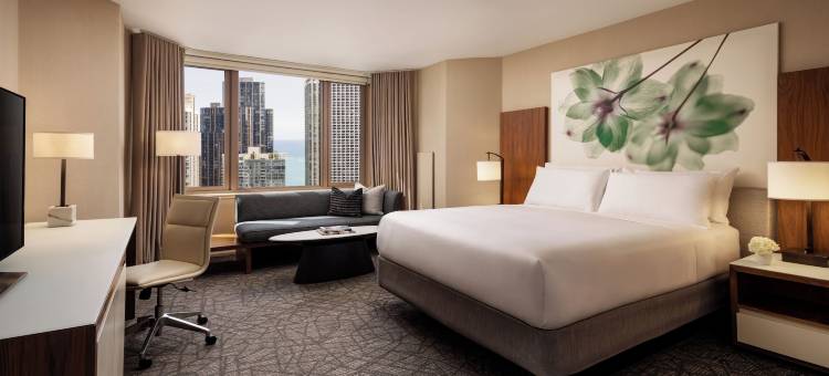 费尔蒙特芝加哥酒店 - 千禧公园(Fairmont Chicago - Millennium Park)图片