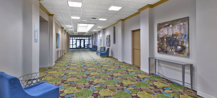 洲际酒店集团博林布鲁克假日酒店及套房(Holiday Inn & Suites Bolingbrook)图片