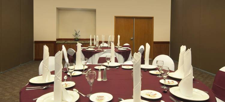 波萨里卡嘉年华酒店(Fiesta Inn Poza Rica)图片