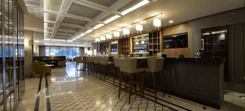 布尔萨市中心假日酒店(Holiday Inn BURSA - CITY CENTRE by IHG)图片