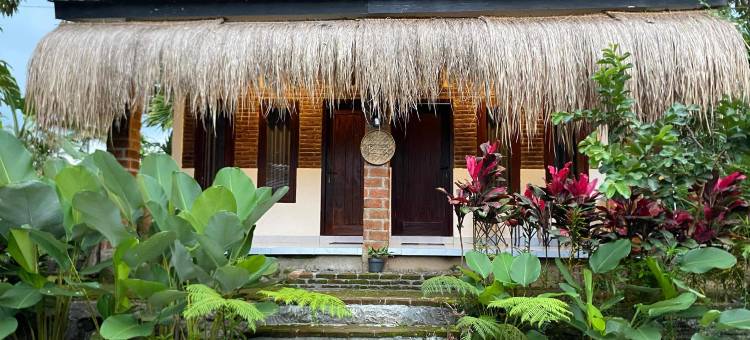 Billi家庭(Billi Family)图片