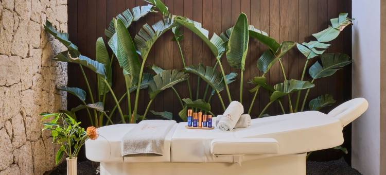 皇家隐藏的科拉莱斯别墅(Royal Hideaway Corales Villas)图片