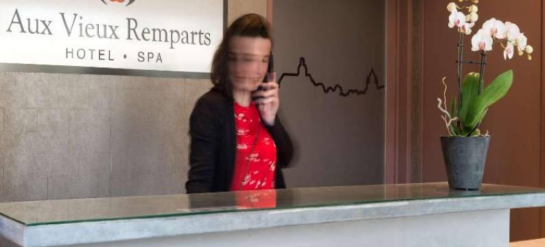 老城垛原生酒店(Hôtel Aux Vieux Remparts the Originals Relais)图片