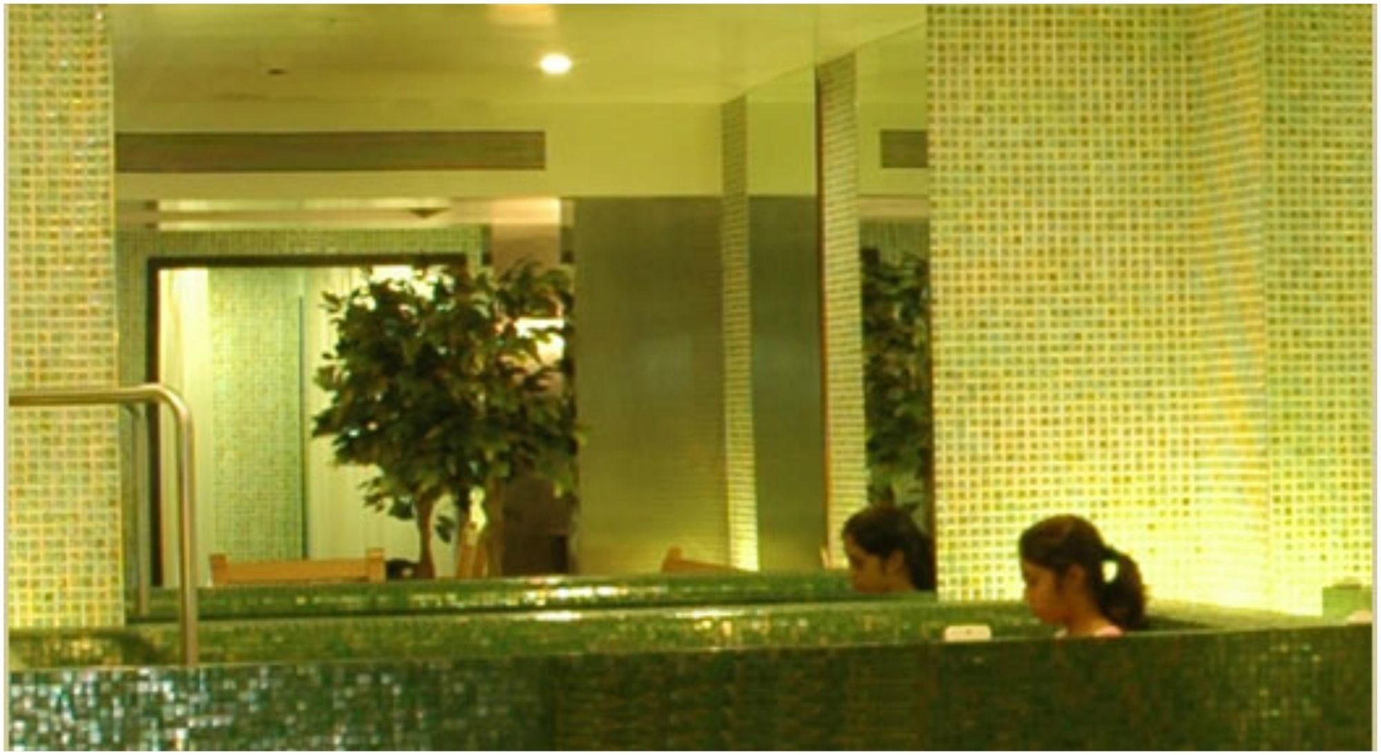 The Imperial PalaceOver view