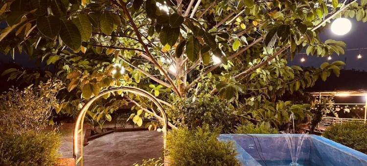 阿方索芒果郡(The Alphonso Mango County)图片