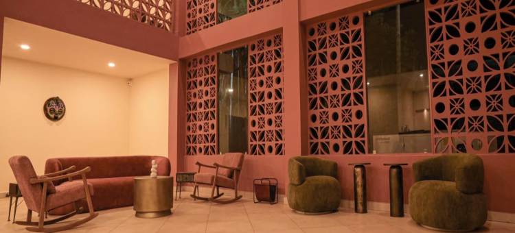 伊罗伊卡齐兰加(Irroi Kaziranga)图片