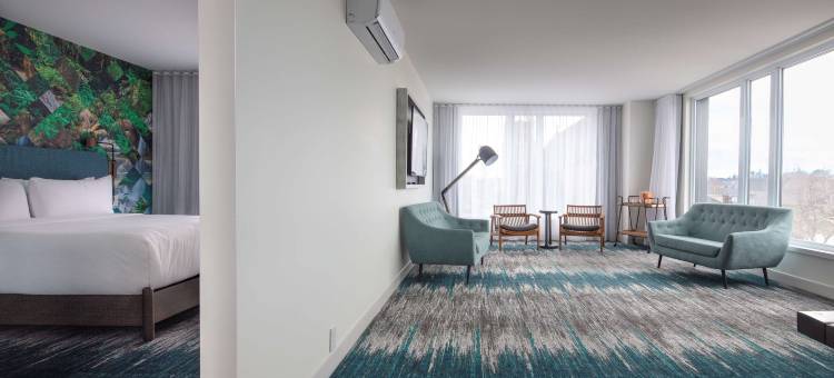 帆布蒙古顿酒店，希尔顿启缤精选(Canvas Moncton, Tapestry Collection by Hilton)图片