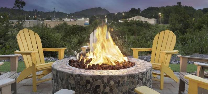 希尔顿惠庭套房酒店塞维尔维尔(Home2 Suites by Hilton Sevierville)图片