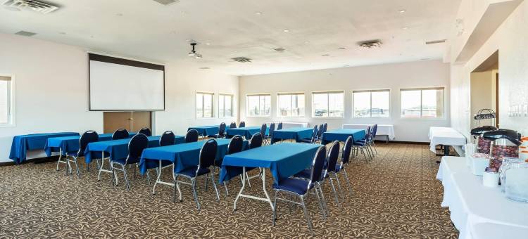 舒适套房酒店(Comfort Inn & Suites)图片