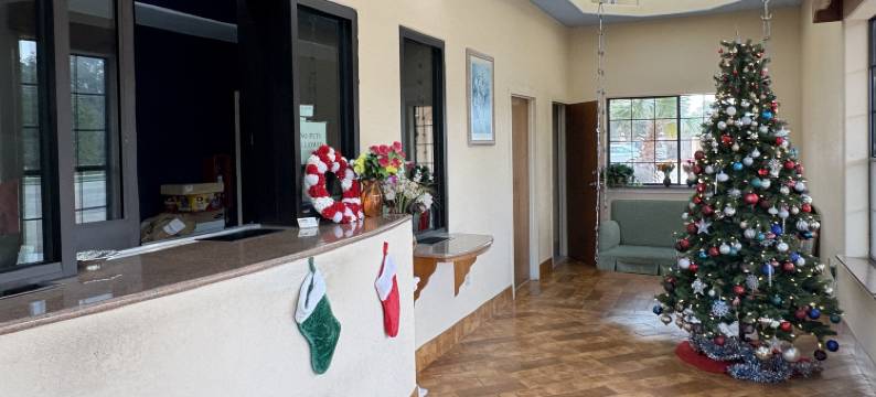 亨博尔丽晶套房酒店(Regency Inn & Suites by Capital O Houston IAH Airport)图片