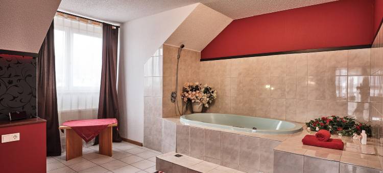 阿姆霍汗天高饭店(Tiptop Hotel am Hochrhein)图片